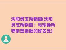 沈阳灵芝动物园(沈阳灵芝动物园：与珍稀动物亲密接触的好去处)