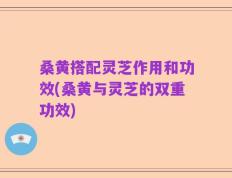 桑黄搭配灵芝作用和功效(桑黄与灵芝的双重功效)