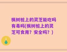 枫树桩上的灵芝能吃吗有毒吗(枫树桩上的灵芝可食用？安全吗？)
