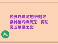 泾县巧峰灵芝种植(泾县种植巧峰灵芝：探访灵芝草原之美)