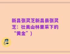 新昌张灵芝新昌县张灵芝：壮美山林里采下的“黄金”)