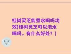桂树灵芝能煮水喝吗功效(桂树灵芝可以泡水喝吗，有什么好处？)