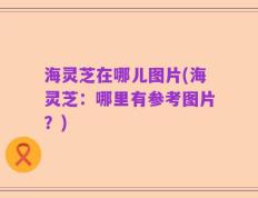 海灵芝在哪儿图片(海灵芝：哪里有参考图片？)