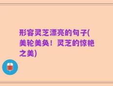 形容灵芝漂亮的句子(美轮美奂！灵芝的惊艳之美)