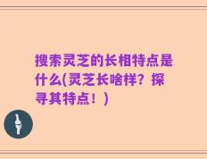 搜索灵芝的长相特点是什么(灵芝长啥样？探寻其特点！)