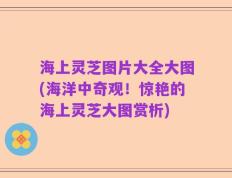 海上灵芝图片大全大图(海洋中奇观！惊艳的海上灵芝大图赏析)