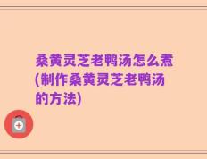 桑黄灵芝老鸭汤怎么煮(制作桑黄灵芝老鸭汤的方法)