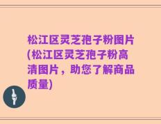 松江区灵芝孢子粉图片(松江区灵芝孢子粉高清图片，助您了解商品质量)