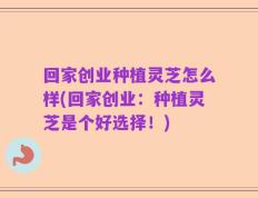 回家创业种植灵芝怎么样(回家创业：种植灵芝是个好选择！)