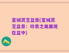 宣城灵芝盆景(宣城灵芝盆景：珍贵之美展现在盆中)