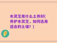 木灵芝用什么土养好(养护木灵芝，如何选用适合的土壤？)