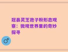 冠县灵芝孢子粉形态观察：微观世界里的奇妙探寻