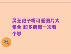 灵芝孢子粉可爱图片大集合 超多萌图一次看个够