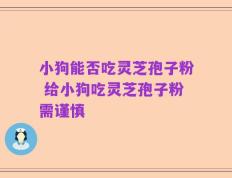 小狗能否吃灵芝孢子粉 给小狗吃灵芝孢子粉需谨慎