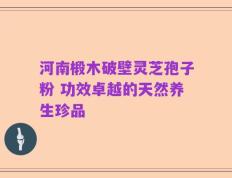 河南椴木破壁灵芝孢子粉 功效卓越的天然养生珍品