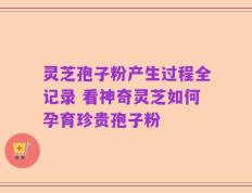灵芝孢子粉产生过程全记录 看神奇灵芝如何孕育珍贵孢子粉