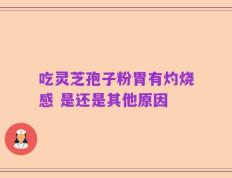 吃灵芝孢子粉胃有灼烧感 是还是其他原因