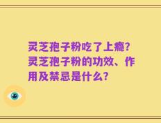 灵芝孢子粉吃了上瘾？灵芝孢子粉的功效、作用及禁忌是什么？