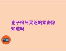 孢子粉与灵芝的紧密你知道吗