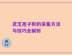 灵芝孢子粉的采集方法与技巧全解析