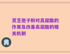 灵芝孢子粉对高尿酸的作用及改善高尿酸的相关机制