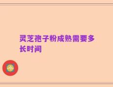 灵芝孢子粉成熟需要多长时间