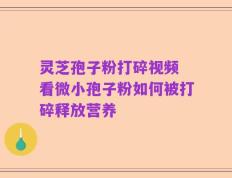 灵芝孢子粉打碎视频 看微小孢子粉如何被打碎释放营养