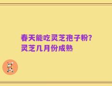 春天能吃灵芝孢子粉？灵芝几月份成熟