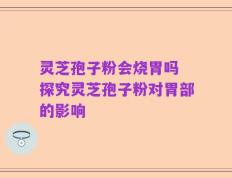 灵芝孢子粉会烧胃吗 探究灵芝孢子粉对胃部的影响
