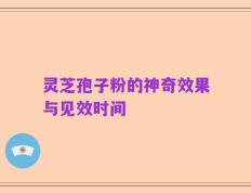 灵芝孢子粉的神奇效果与见效时间
