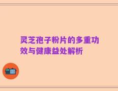 灵芝孢子粉片的多重功效与健康益处解析