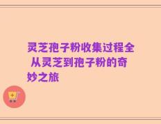 灵芝孢子粉收集过程全 从灵芝到孢子粉的奇妙之旅