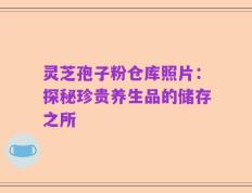 灵芝孢子粉仓库照片：探秘珍贵养生品的储存之所