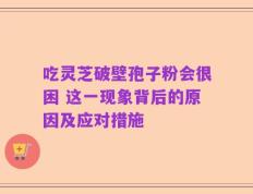 吃灵芝破壁孢子粉会很困 这一现象背后的原因及应对措施