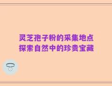 灵芝孢子粉的采集地点探索自然中的珍贵宝藏