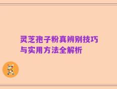 灵芝孢子粉真辨别技巧与实用方法全解析