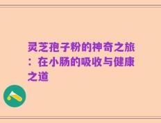 灵芝孢子粉的神奇之旅：在小肠的吸收与健康之道