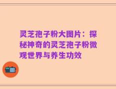 灵芝孢子粉大图片：探秘神奇的灵芝孢子粉微观世界与养生功效