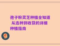 孢子粉灵芝种植全知道 从选种到收获的详细种植指南