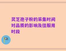 灵芝孢子粉的采集时间对品质的影响及佳服用时段