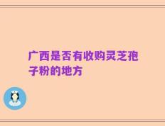 广西是否有收购灵芝孢子粉的地方