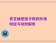 灵芝破壁孢子粉的外观特征与功效解析