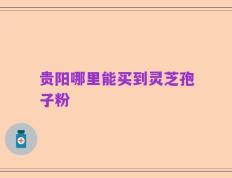 贵阳哪里能买到灵芝孢子粉