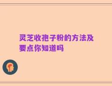 灵芝收孢子粉的方法及要点你知道吗