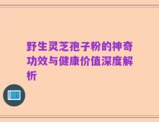 野生灵芝孢子粉的神奇功效与健康价值深度解析