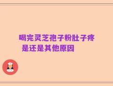 喝完灵芝孢子粉肚子疼 是还是其他原因
