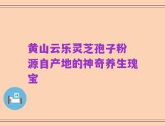 黄山云乐灵芝孢子粉 源自产地的神奇养生瑰宝