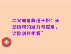 二叉鹿角蕨孢子粉：天然植物的魔力与应用，让你刮目相看”
