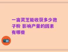 一亩灵芝能收获多少孢子粉 影响产量的因素有哪些
