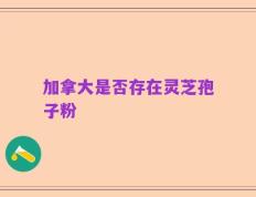 加拿大是否存在灵芝孢子粉